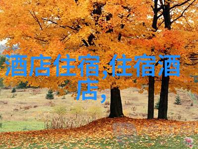 东山岛美旅指南探秘风情独特的海滩天堂