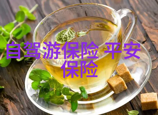 安全出行享受无忧旅行自驾旅游注意事项总结