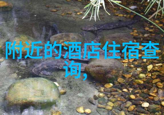 主题-中国11月份恢复外国人入境新常态下的跨境旅行新篇章
