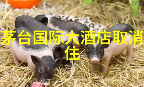 户外运动与室内运动相比有哪些独特的益处