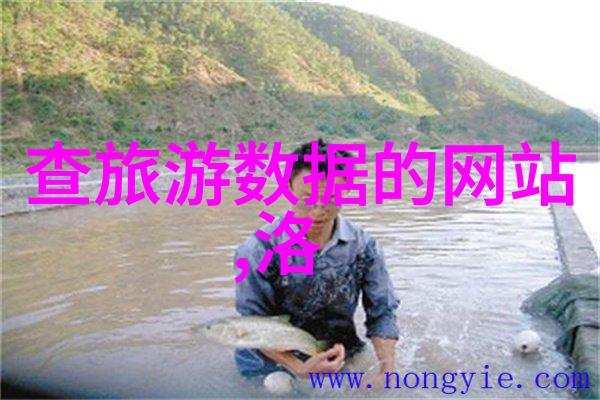 荒野求生与城中绿洲北京户外活动网站