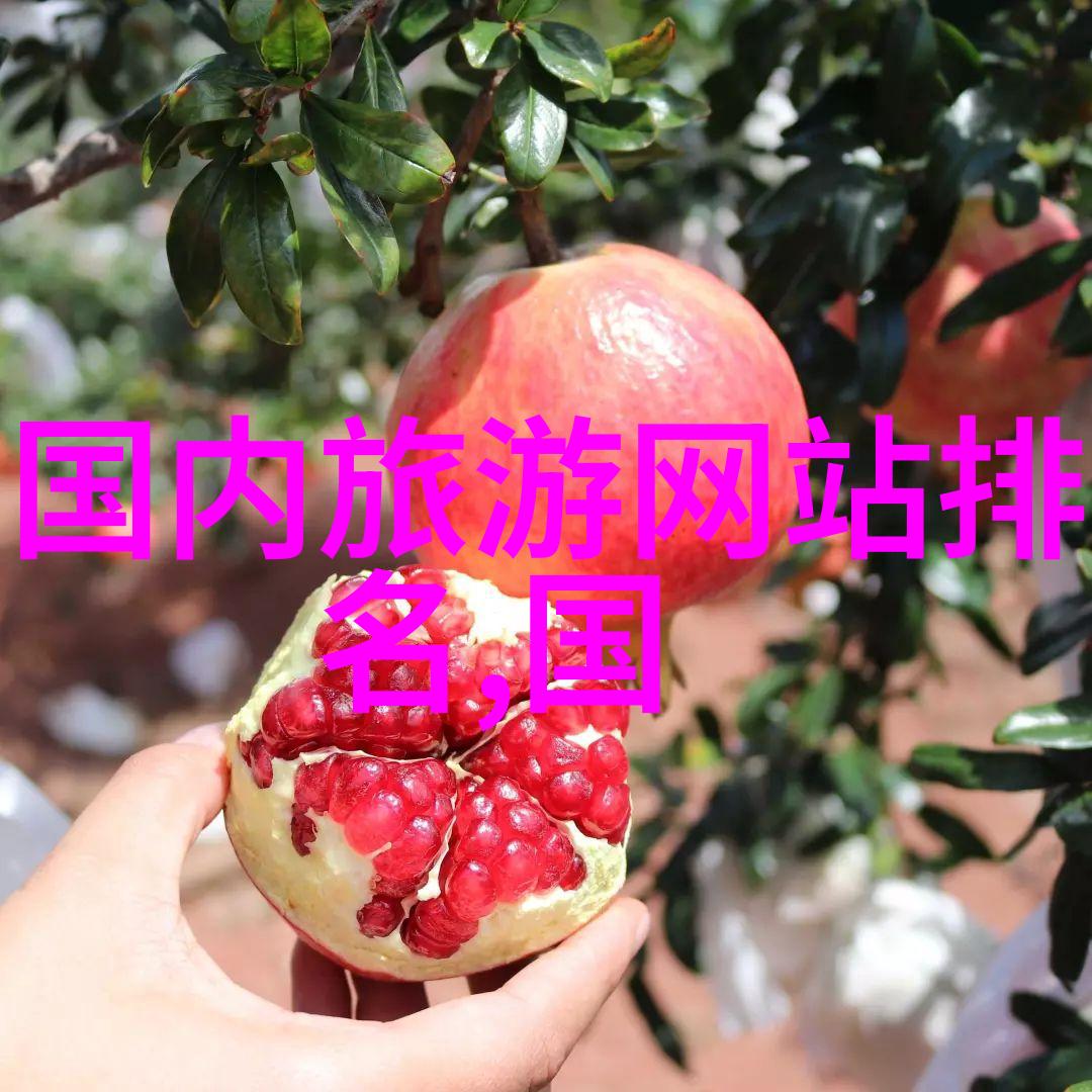 中国旅行社旅游线路 - 探秘中華一站式解析中国旅行社精选线路
