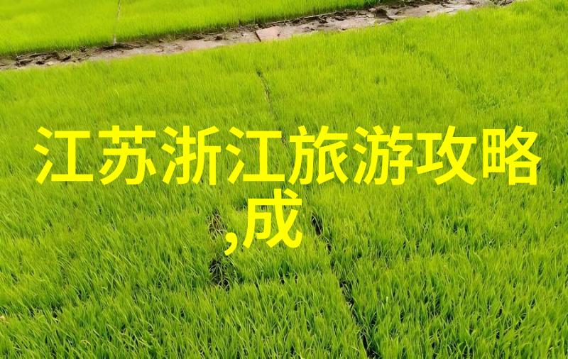 西安一日游如何规划一次完美的古城探索之旅