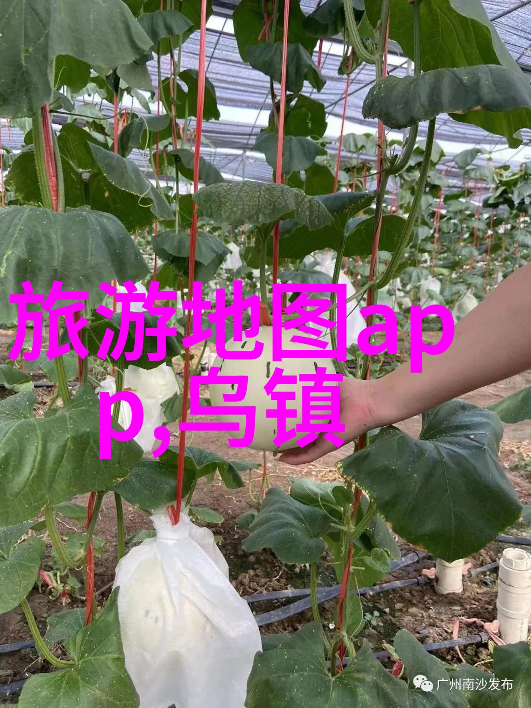 九寨沟两日游跟团探秘九寨沟旅游两天一夜游跟团旅行四川旅游景点