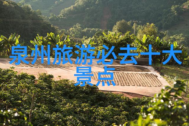 探索美丽大地自驾游线路指南与精选推荐