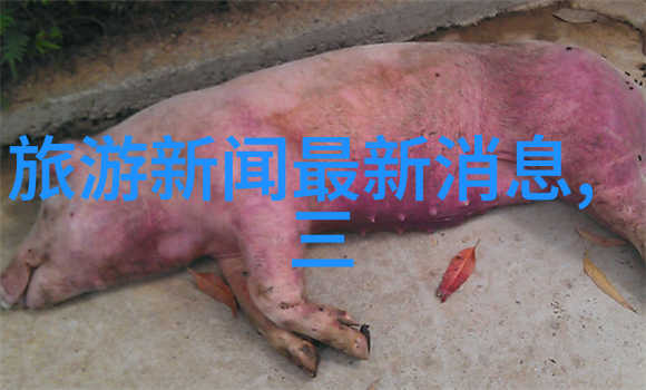 追逐梦想一步一步从无到有我的800页日记