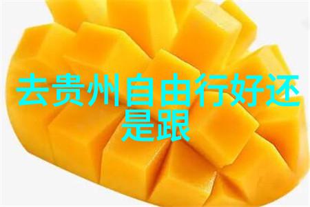 探寻古丝绸之路的足迹终结者墓群考察日记