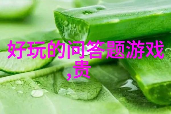穿越时空的旅人探索梦想之旅的起点