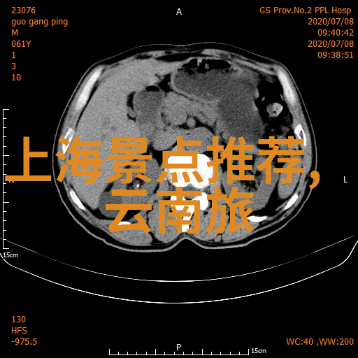 文化融合盛宴不同文化背景下的同事如何共同参与艺术表演活动
