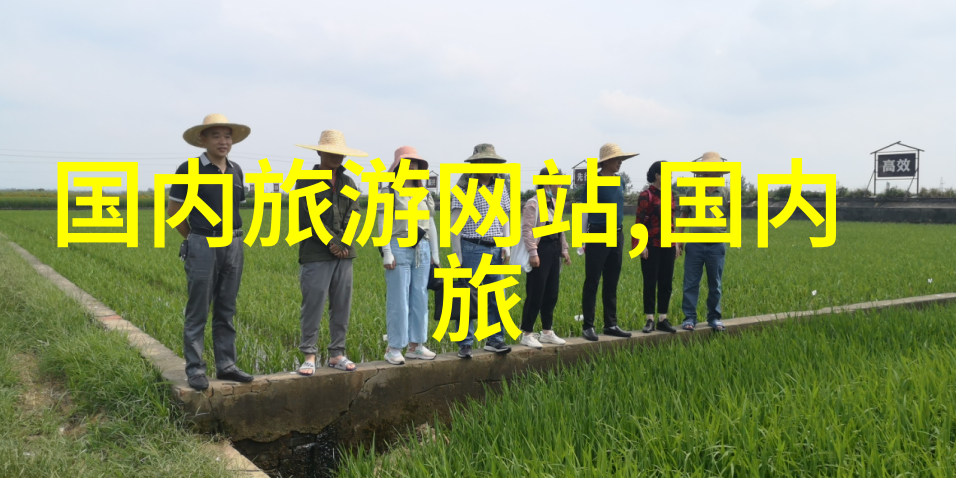 儿童户外游戏50例我来教你如何让孩子们在公园里玩得开心
