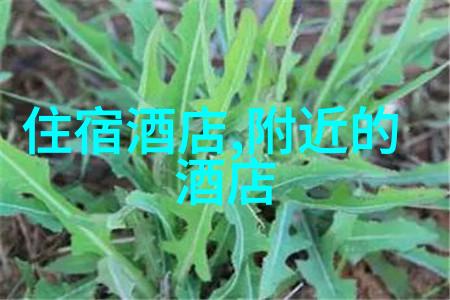 一卡二卡日本探秘两张神奇卡片的旅程