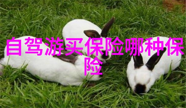 韩剧中隐藏的美容秘密一面膜下的浪漫与挑战