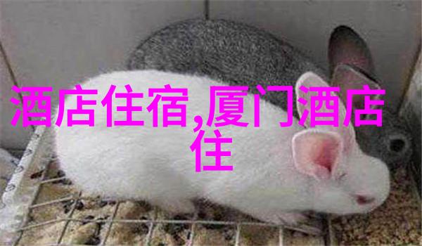 四川自由行7天详细攻略 - 梵净山与锦里古韵探索四川的文化与自然之美