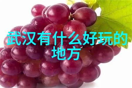 探索崎岖路线山地自行车模拟器的虚拟冒险