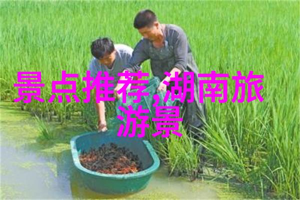 探索古都的韵味一篇关于游记优秀作文的体验分享