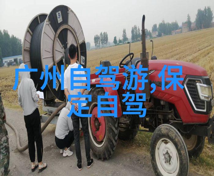 大理白族的传统节日是什么时候