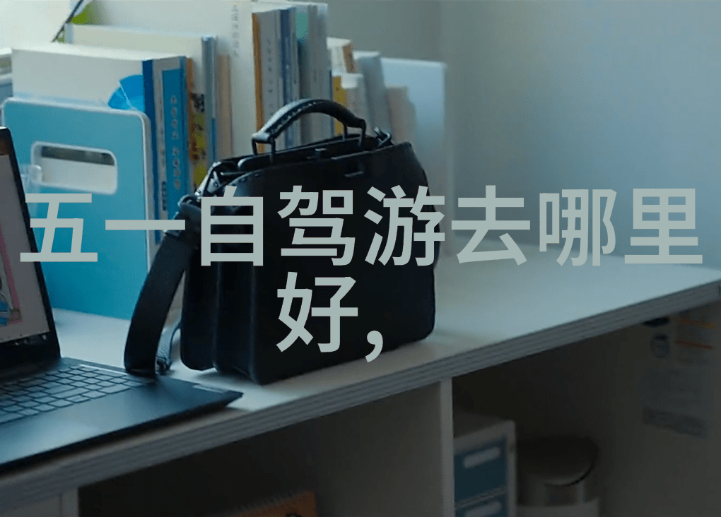 情断于那一纸休书 - 别离的代价爱与法的交织