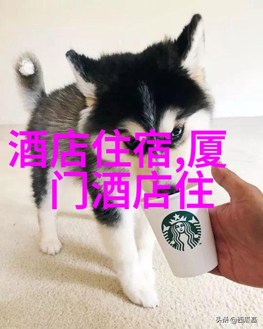 春节期间云南旅游必去景点TOP10推荐
