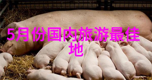 中国文化遗产日探索古城韵味与现代生活的融合