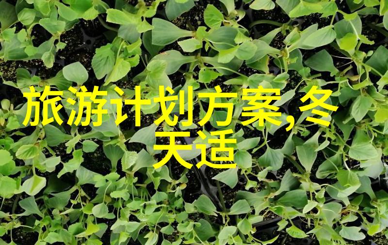 解锁边界中国旅游业如何逐步开放
