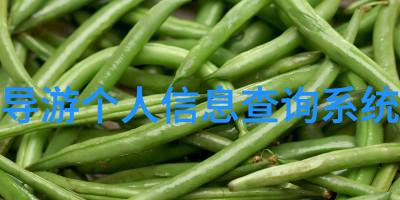 上海最值得去的地方-探秘狮子林上海历史文化的守护者与见证者