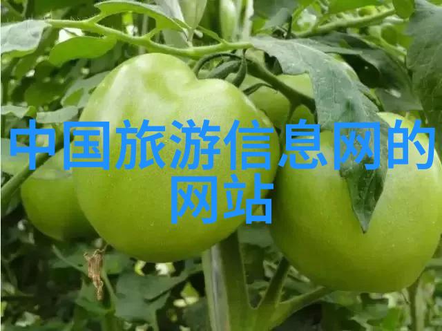 游记650字初二作文挑战如何将旅行经历变成文字上的精彩
