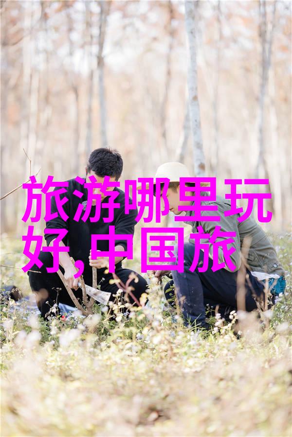 探秘未来智能旅行助手将彻底改变我们对假日的期待
