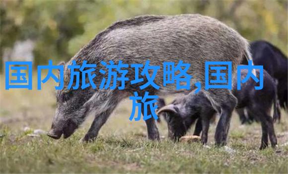 洞庭湖