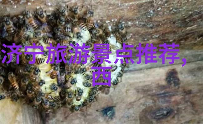 一篇游记作文450字我的第一次海岛之旅阳光沙滩和无限惊喜