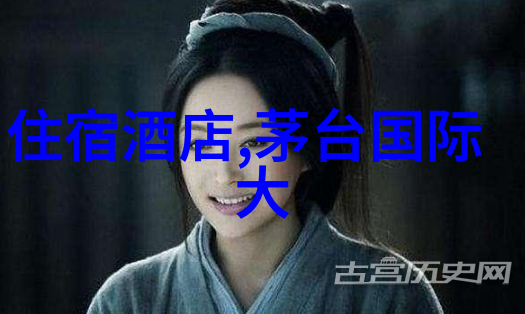 探索无限未来的旅行预约革命