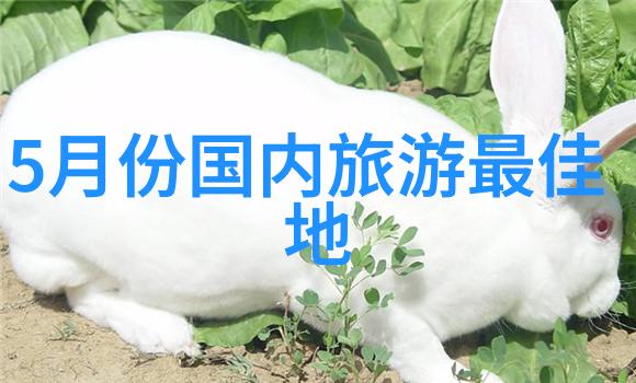 探秘世界奇迹年度最佳旅游目的地揭晓