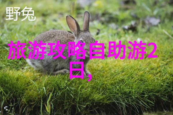 合肥迷雾中的璀璨秘境