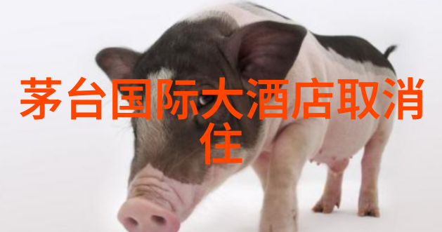 四川旅游攻略探索神秘大地的奇迹与风味