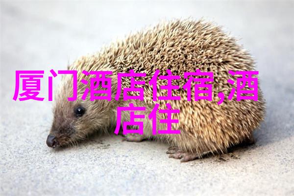 西安供暖2020时间及联系电话游记作文400字你知道吗