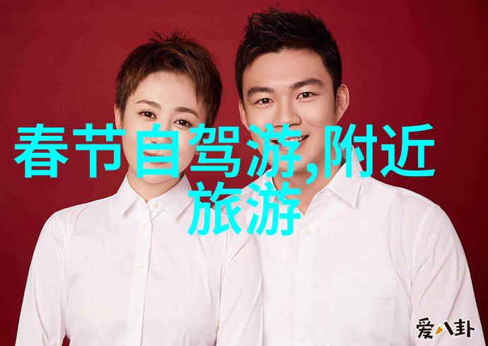 深圳宝安区探秘揭秘这座城市的历史与文化之都