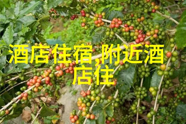 山城游记曲阜住宿指南