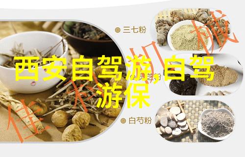 漫步沙漠艺术敦煌旅游攻略全解析