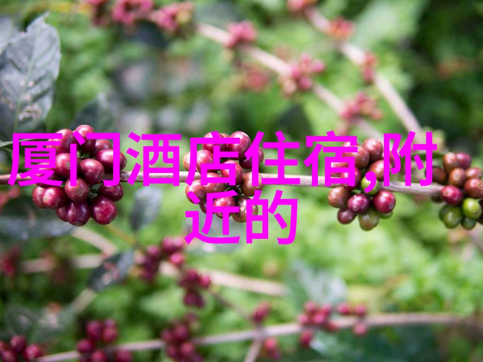探索贵州美丽风光精选旅游线路最佳方案