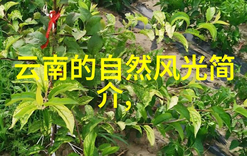 海南岛之冠探索十大不可错过的旅游奇迹海南旅游景点推荐