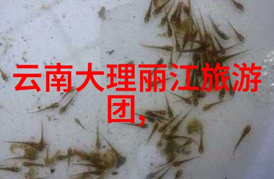 平安保险助您征途无忧自驾游险险全保