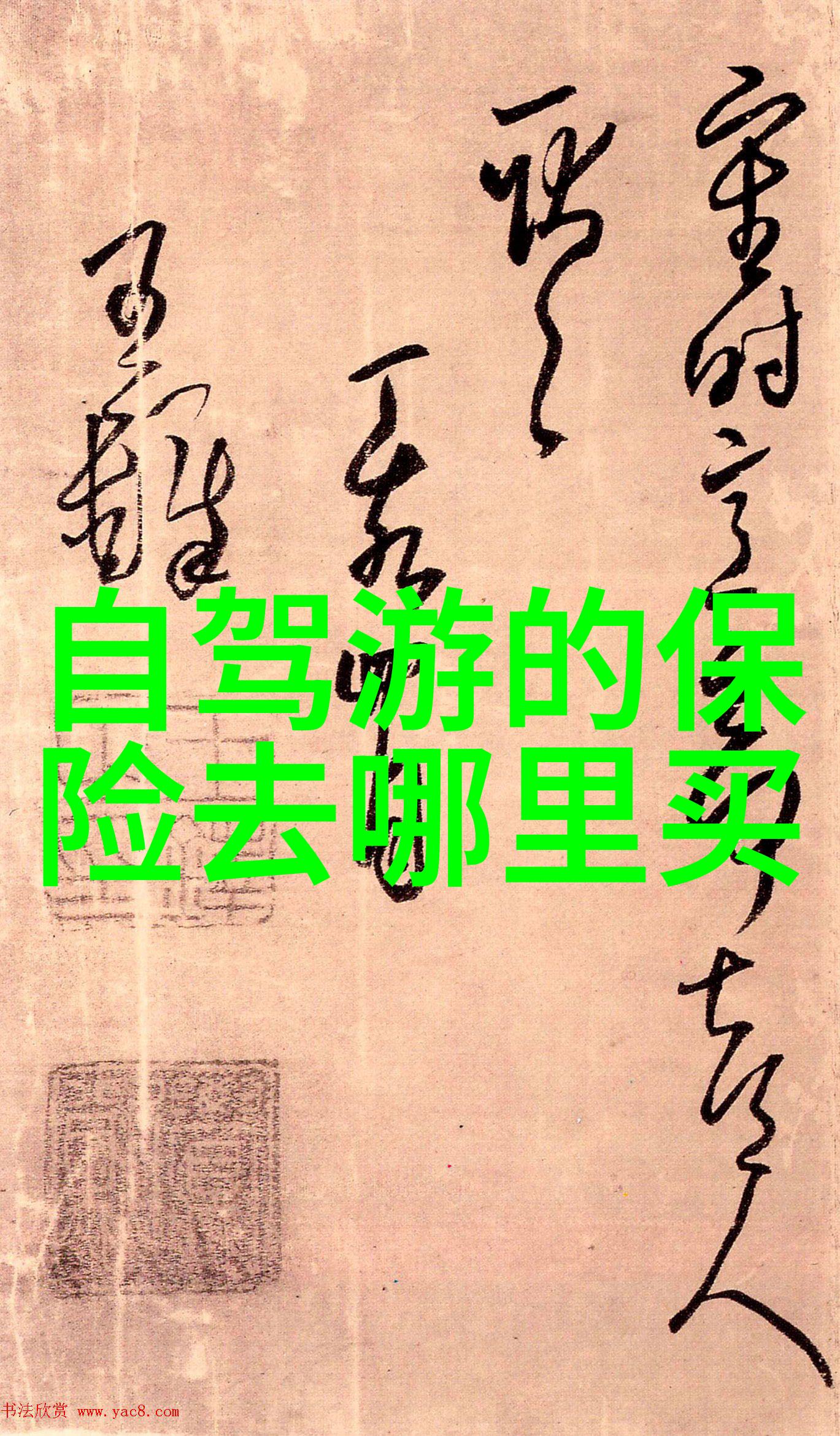 两位前辈的光芒与影响