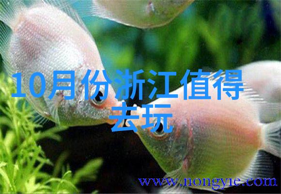 南美热情巴西草原阿根廷安第斯山脉的故事