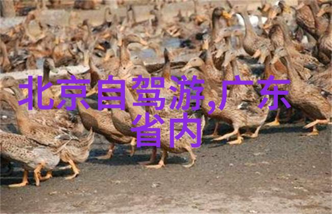 无锡的秘密之城揭开古韵与现代交融的面纱