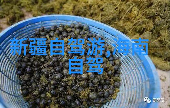 骑行之声自行车论坛的旋律与风景
