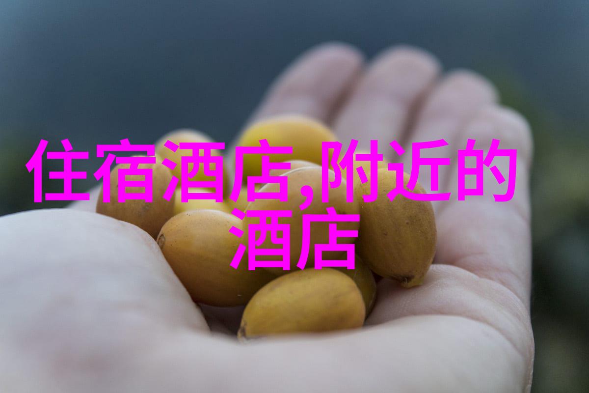 夏日的探险初二学生的500字游记初中生夏令营经历