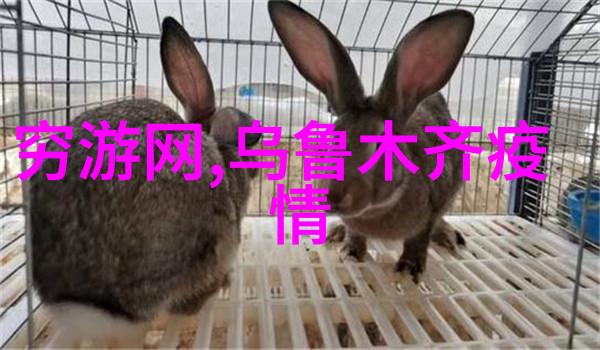 云南十日游行程规划云南旅游最佳路线推荐