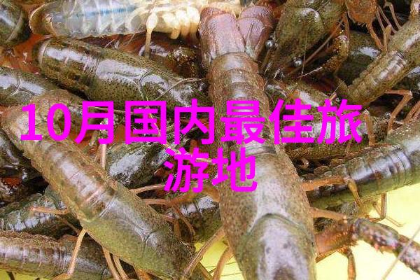 探秘安康从山城到花海笑中揭秘这座城市的隐秘角落