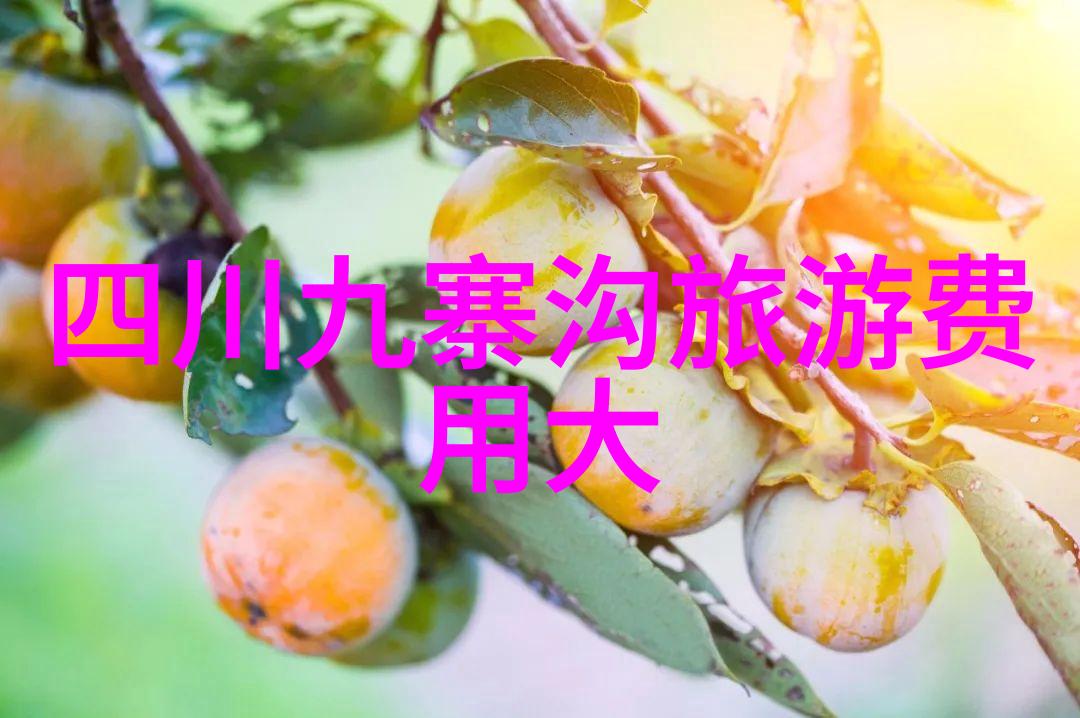 广西桂林山水甲天下岩溶地貌下的自然奇观世界