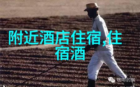 品味中国揭秘十大特色美食城市的香辣盛宴