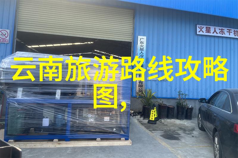 国际游客群体可能对这个消息有什么反应和期待